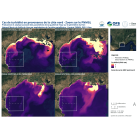  Qualité de l'eau et pilotage environnemental des travaux en mer