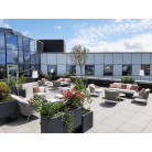  Végétalisation de vos terrasses, rooftop