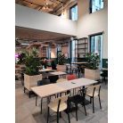  Végétalisation de vos espaces interieurs