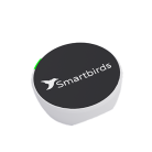  Smartbirds