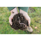  GreenSludge - Méthode d'évaluation rapide d'écotoxicité des boues d'épuration avant valorisation