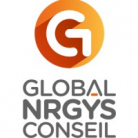 GLOBAL NRGYS CONSEIL