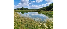 Conseil & Stratégie biodiversité