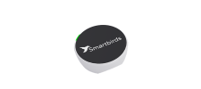 Smartbirds