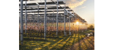 Projet agrivoltaïque