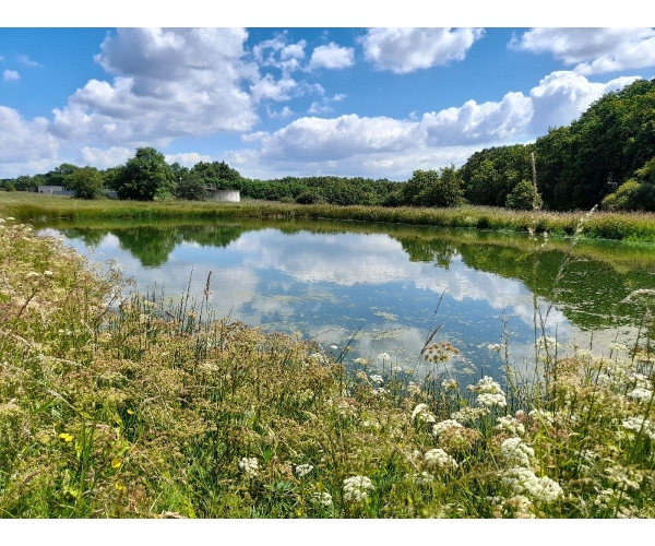  Conseil & Stratégie biodiversité