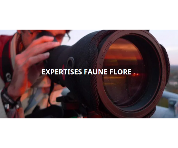  EXPERTISES FAUNE FLORE