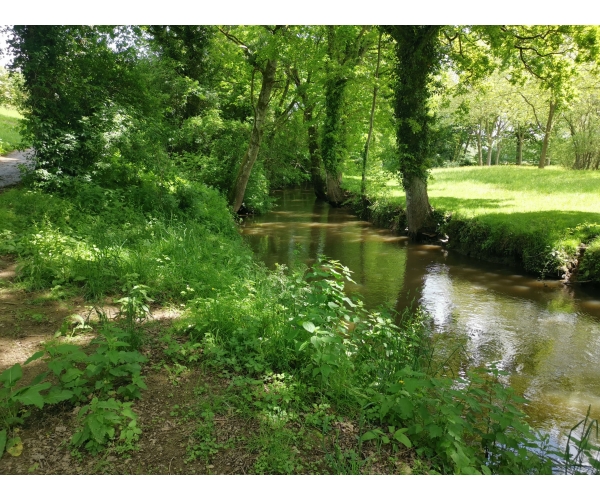  Gestion écologique de l'eau