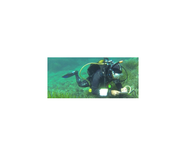  EAU