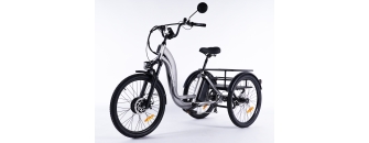 Tricycles électriques adultes