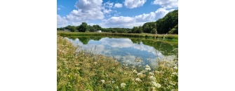 Conseil & Stratégie biodiversité