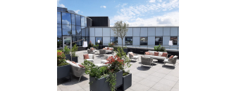 Végétalisation de vos terrasses, rooftop