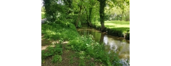 Gestion écologique de l'eau