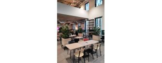 Végétalisation de vos espaces interieurs