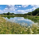  Conseil & Stratégie biodiversité