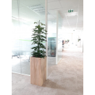  pot en bois massif fabriqué localement