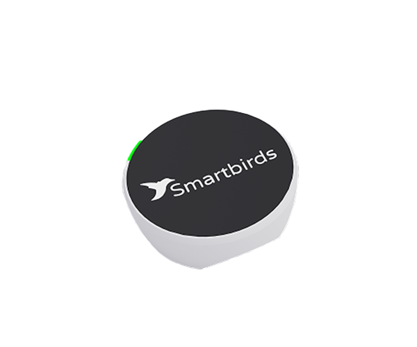  Smartbirds